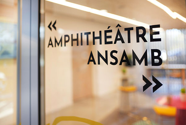 Amphithéâtre Ansamb