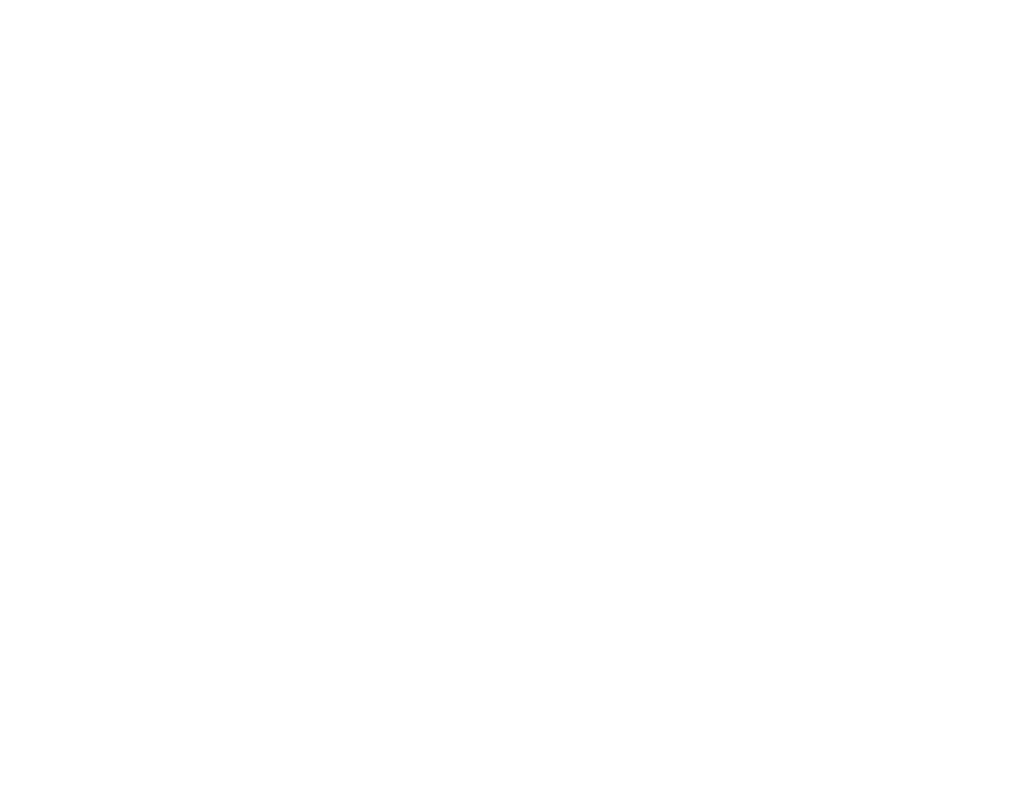 Village Academy