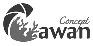 Cawan Concept