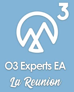 O3 Experts