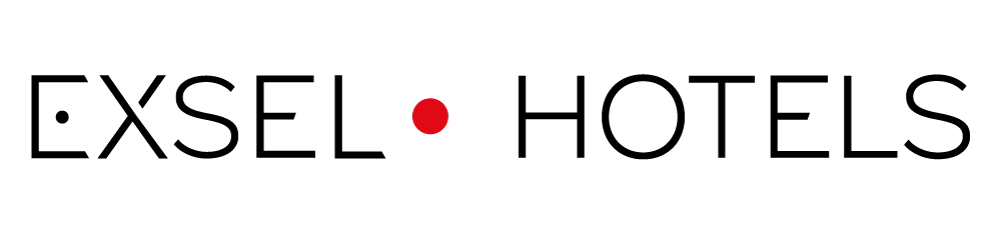 Logo Exsel